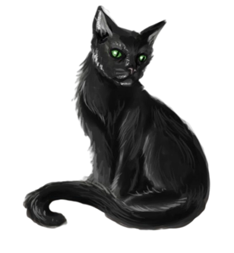Кошка (Cat) | Бестыярый D&D 5e