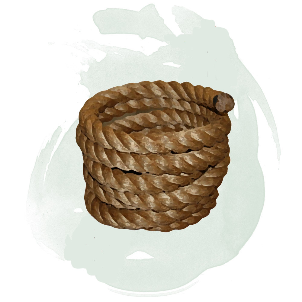Срастающаяся верёвка (Rope of Mending) Магические предметы D&D 5e